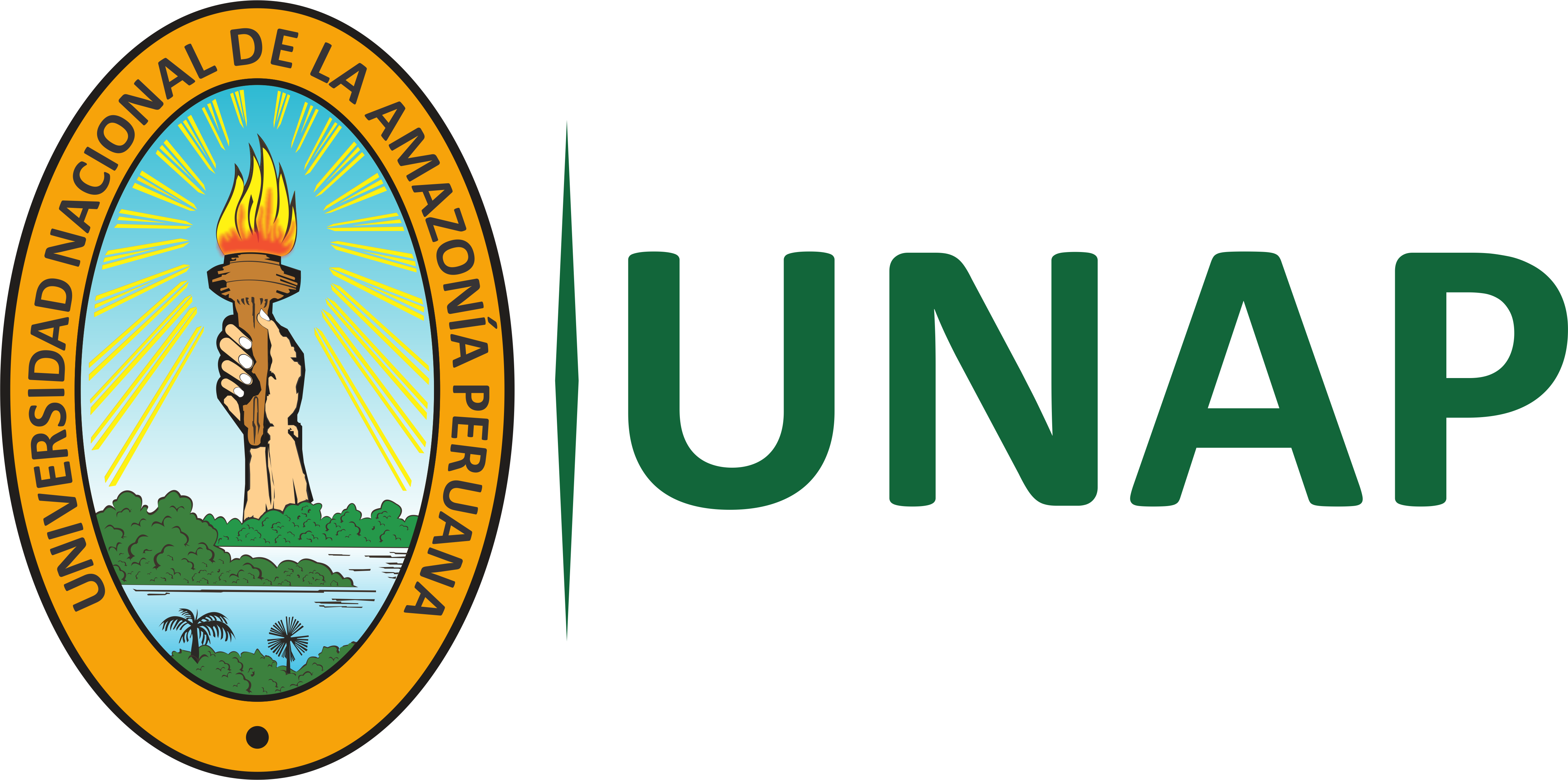 Aula Virtual de Pregrado de la Universidad Nacional de la Amazonia Peruana